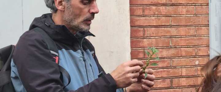 22/04/25 Balade Botanique avec Boris Presseq dans le quartier des Chalets