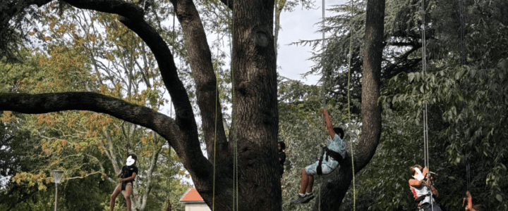 Retour sur la Fête de l’Arbre – 20 septembre