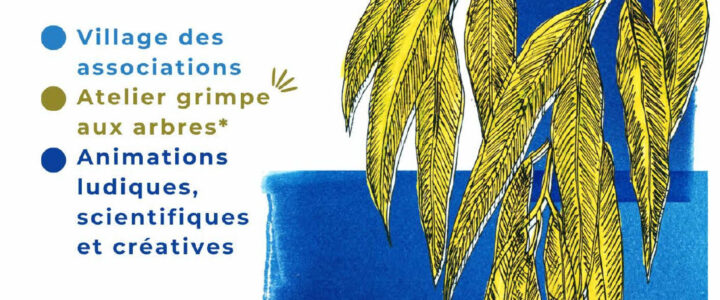 Fête de l’arbre ! 20 septembre au jardin Félix Tisserand de 10h à 17h